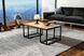 Журнальний столик у стилі loft з ясена GS-3120 61 фото 1